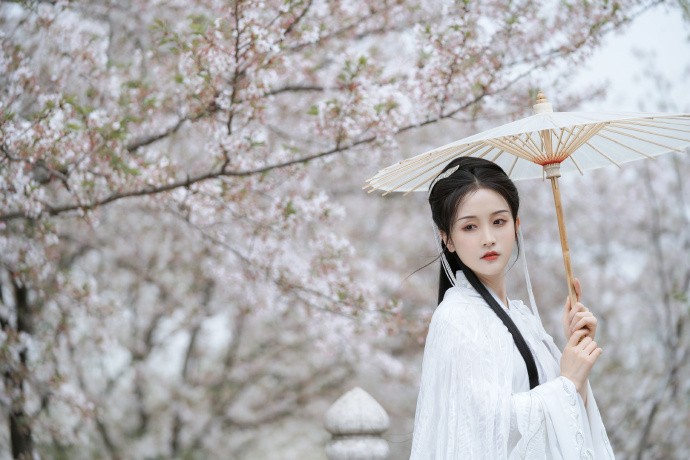 小森林 夏秋篇
